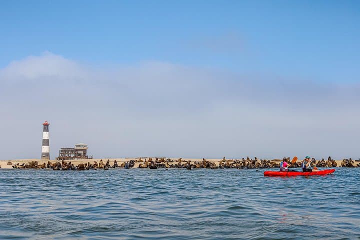 Mola Mola Kayaking Experience — Walvis Bay Pelican Point Kayak and 4x4 Adventure photo 4