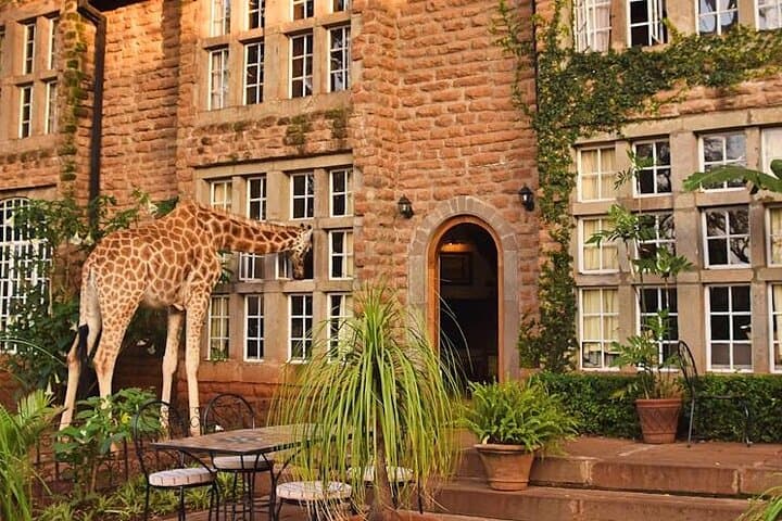 Explore Nairobi’s Wild Heart and Cultural Treasures on a Day Tour photo 5