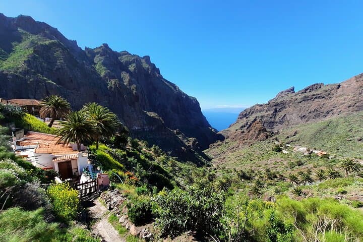 Masca Gorge Guided Hike in Teno Rural Park — Tenerife Day Hike photo 2