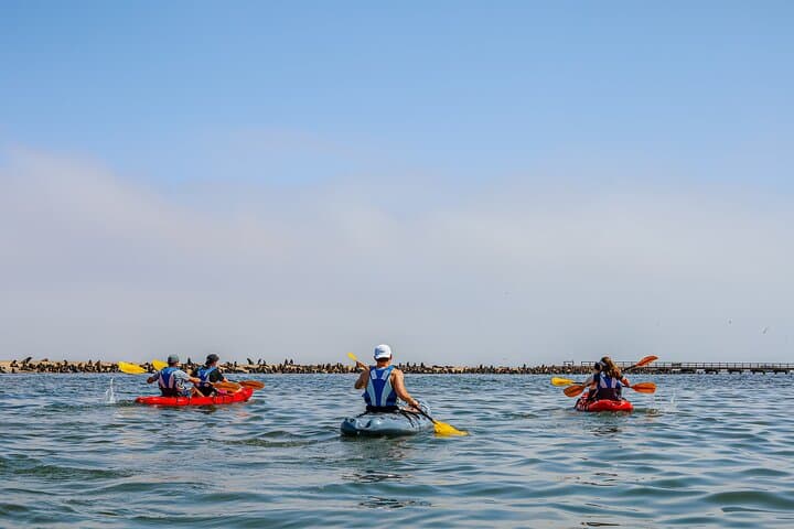 Pelican Point Kayak & Sandwich Harbor Dune Combo from Walvis Bay photo 3
