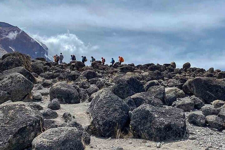 Kilimanjaro Climb: 5-Day Marangu Route to Uhuru Peak photo 3