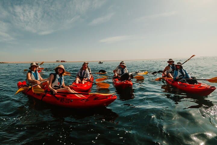 Pelican Point Kayak & Sandwich Harbor Dune Combo from Walvis Bay photo 4