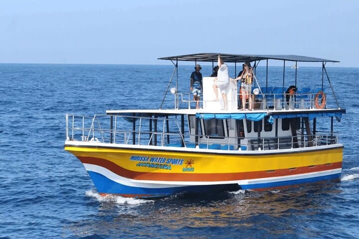 All-Inclusive Mirissa Whale & Dolphin Watching: Blue Whales, Dolphins and Morning Sea Rides photo 4