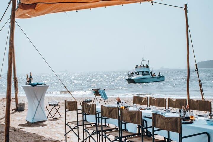 Walvis Bay Dolphin Cruise and Beach Braai at Pelican Point