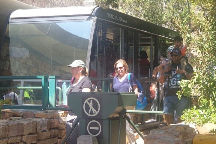 Private Cape Point Tour: From Peaks to Penguins — Cape Town Day Trip photo 5