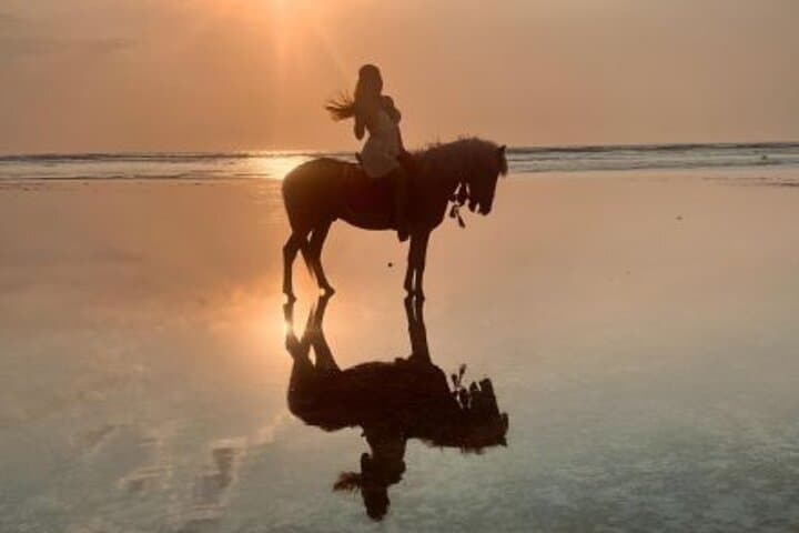 Gili Trawangan Beach Horseback Riding — Sunrise & Sunset Rides with Hotel Pickup photo 2