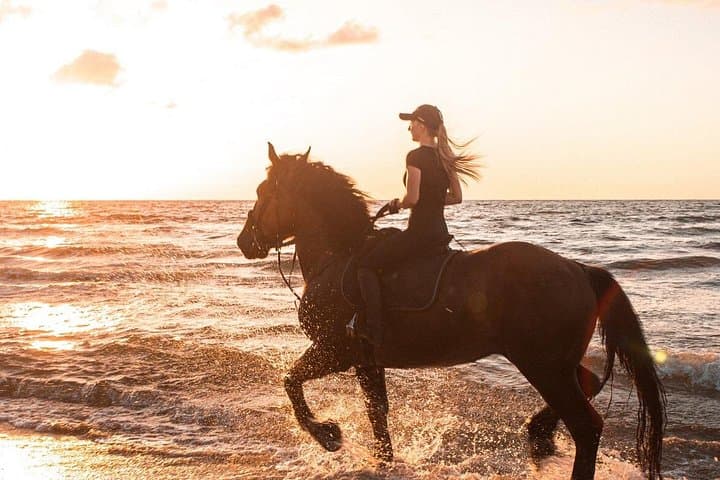 Gili Trawangan Beach Horseback Riding — Sunrise & Sunset Rides with Hotel Pickup photo 1