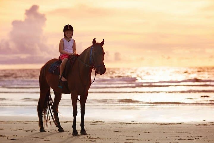Gili Trawangan Beach Horseback Riding — Sunrise & Sunset Rides with Hotel Pickup photo 3