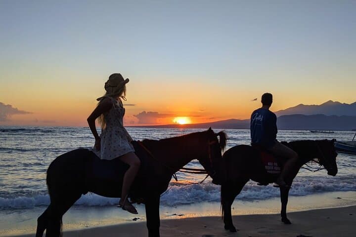 Gili Trawangan Beach Horseback Riding — Sunrise & Sunset Rides with Hotel Pickup photo 4