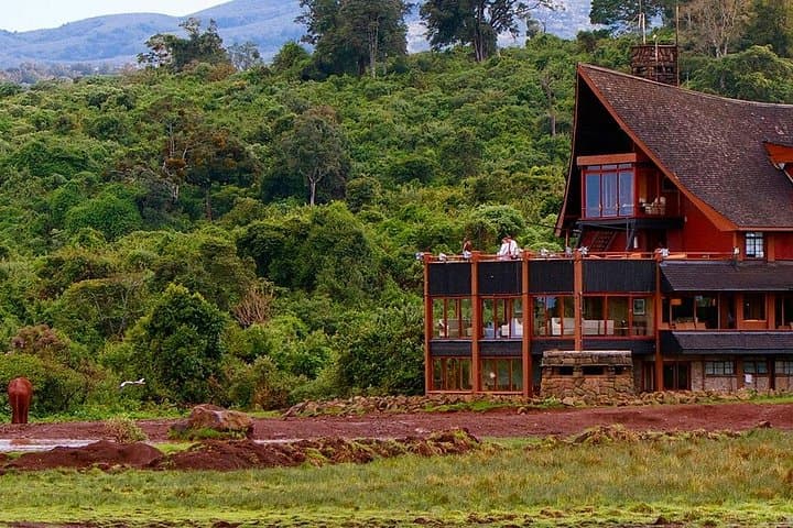 Aberdare National Park Day Trip from Nairobi — Waterfalls, Forests & High-Altitude Wildlife photo 2