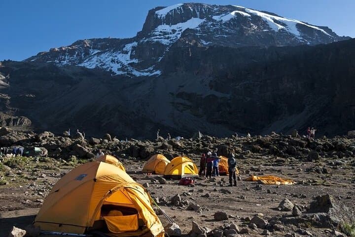 One-Day Machame Trek on Kilimanjaro: Shira Plateau & Southern Ice Field Views