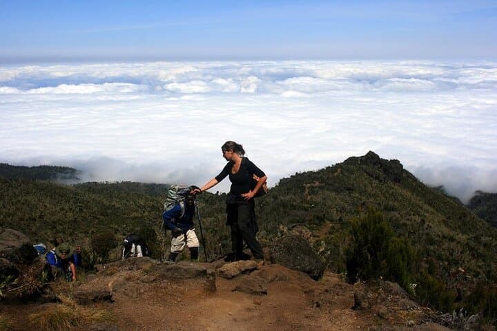 One-Day Machame Trek on Kilimanjaro: Shira Plateau & Southern Ice Field Views photo 2