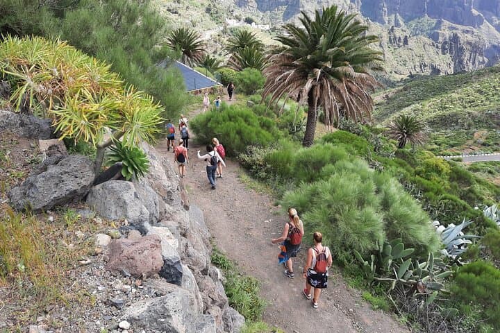 Masca Gorge Guided Hike in Teno Rural Park — Tenerife Day Hike photo 3