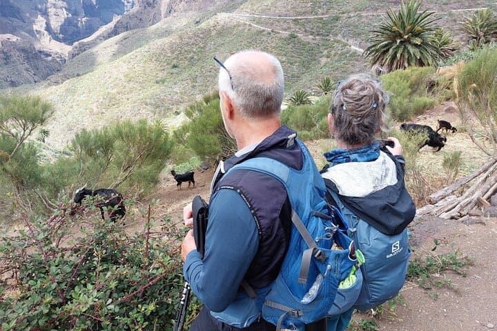 Masca Gorge Guided Hike in Teno Rural Park — Tenerife Day Hike photo 4