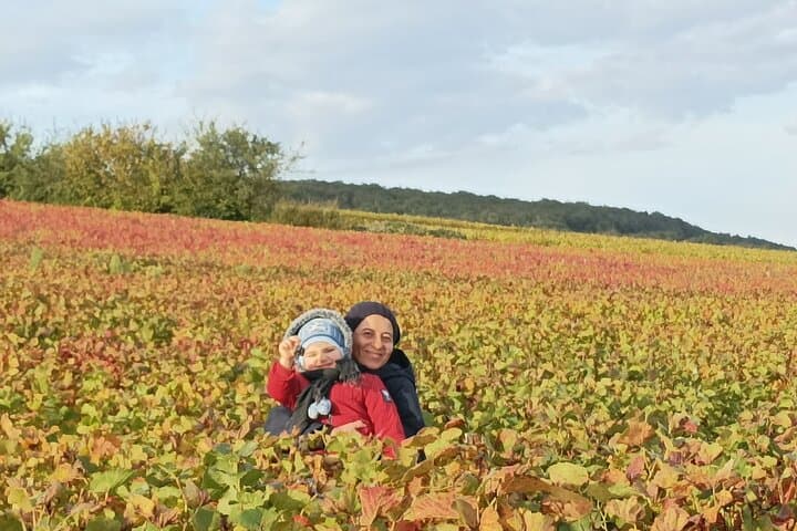 Private Burgundy Wine Country Tour with Professional Guide photo 4