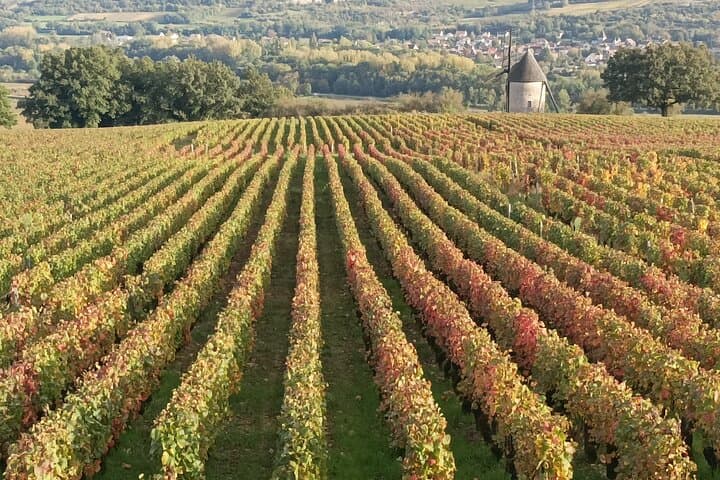 Private Burgundy Wine Country Tour with Professional Guide photo 3