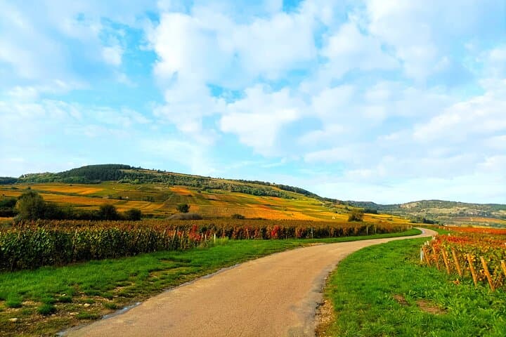 Private Burgundy Wine Country Tour with Professional Guide photo 2