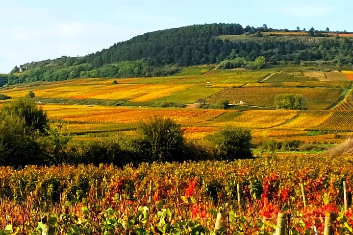 Private Burgundy Wine Country Tour with Professional Guide