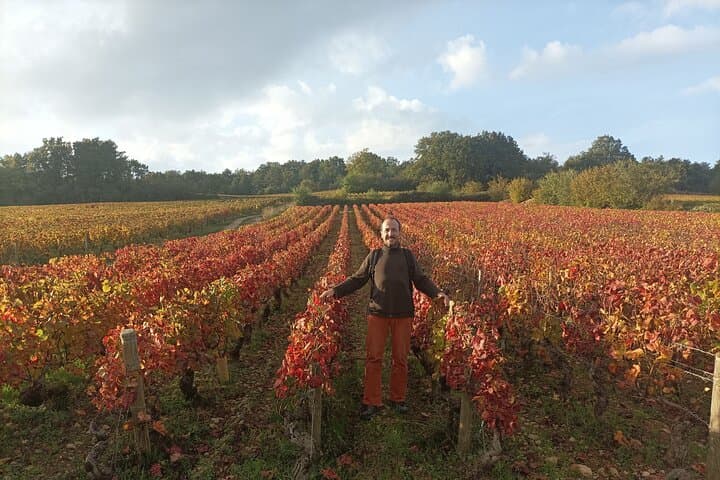 Private Burgundy Wine Country Tour with Professional Guide photo 6