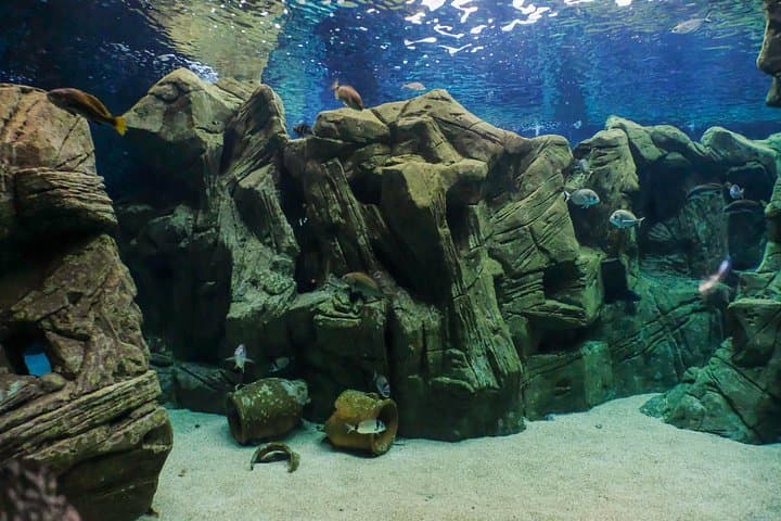 Cretaquarium Heraklion: Tickets & What to Expect at Crete's Mediterranean Aquarium photo 2