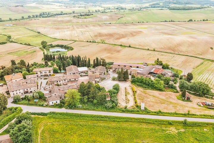 Mensanello Valley Wine & Olive Tasting Hike Near San Gimignano photo 4