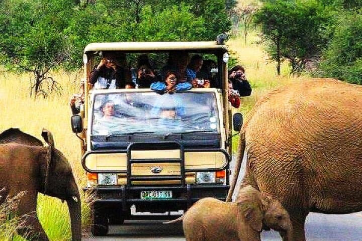 Two-Day Budget Kruger National Park Safari — Big Five on a Time-Friendly Itinerary photo 2