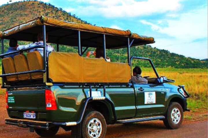 Two-Day Budget Kruger National Park Safari — Big Five on a Time-Friendly Itinerary photo 4
