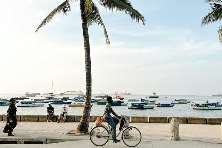 Jozani Forest, Spice Farm & Stone Town: Zanzibar Day Tour Guide photo 2