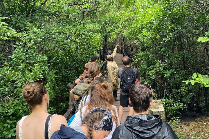 Jozani Forest, Spice Farm & Stone Town: Zanzibar Day Tour Guide photo 6