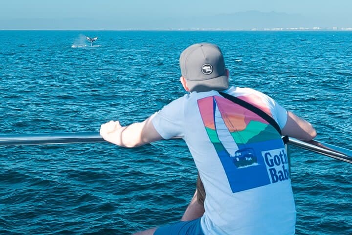 Bay of Banderas Whale Watching: Ultimate All‑Inclusive Yacht Experience photo 2