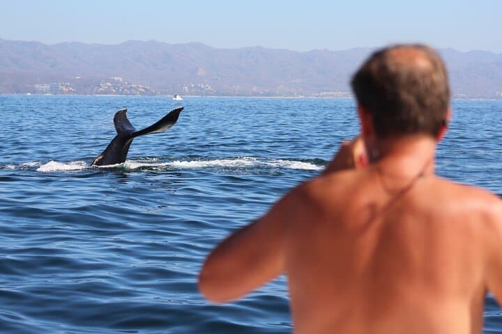 Bay of Banderas Whale Watching: Ultimate All‑Inclusive Yacht Experience photo 3
