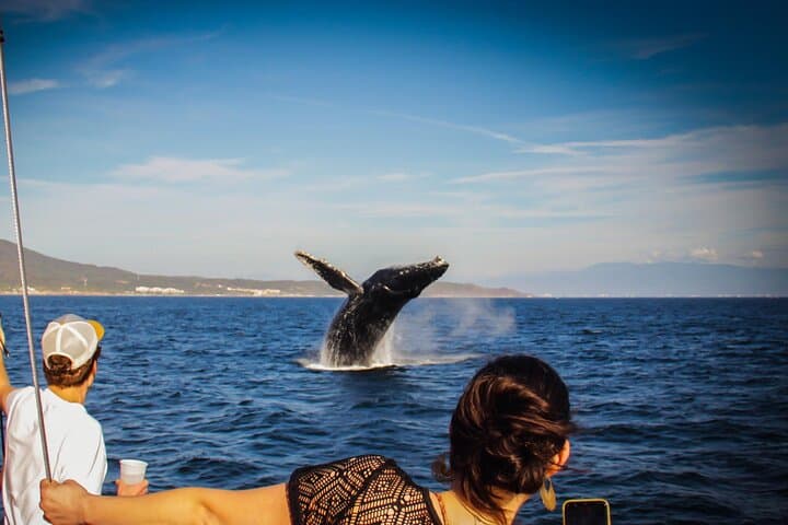 Bay of Banderas Whale Watching: Ultimate All‑Inclusive Yacht Experience photo 1