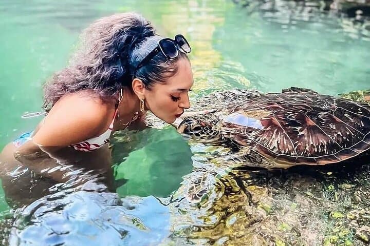 Mnemba Island & Baraka Aquarium: Full-Day Snorkel, Turtles and Sunset Dhow Cruise photo 2