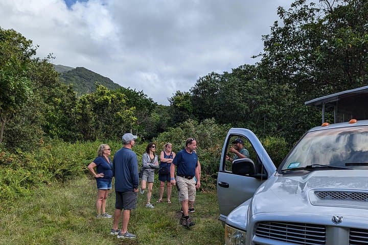 Off-Road Rainforest 4x4 Grand Tour — St. Kitts Jungle Safari photo 5