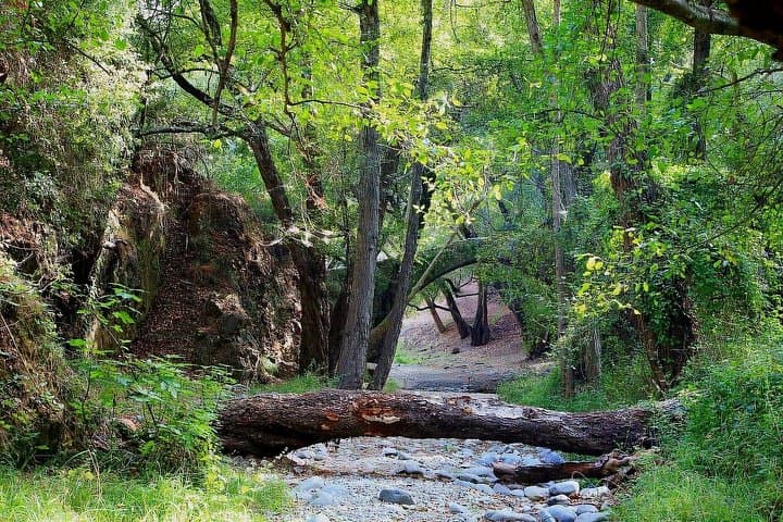 Troodos Mountains Day Tour from Paphos: Waterfalls, Villages & Wine Tasting photo 2