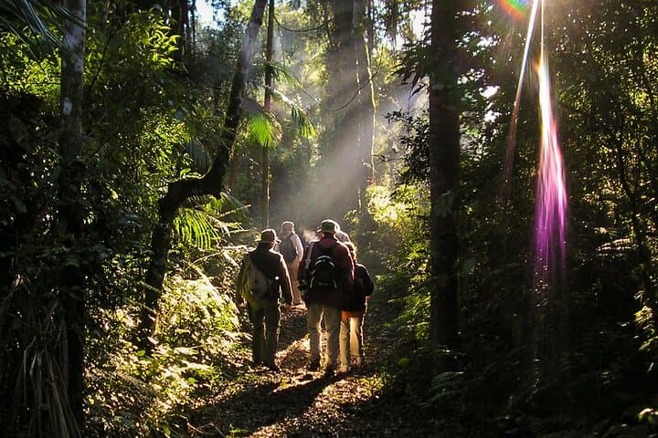 Iguazu Falls & Yacutinga Lodge: 5-Day Jungle Immersion from Buenos Aires photo 6