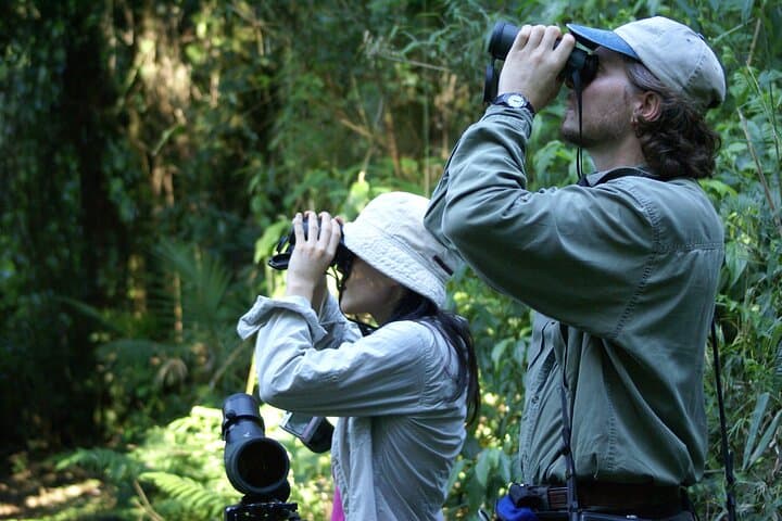 Iguazu Falls & Yacutinga Lodge: 5-Day Jungle Immersion from Buenos Aires photo 2