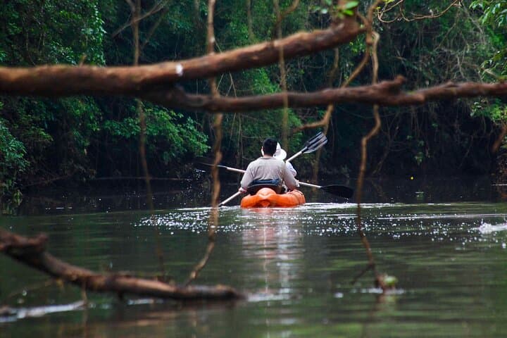 Iguazu Falls & Yacutinga Lodge: 5-Day Jungle Immersion from Buenos Aires
