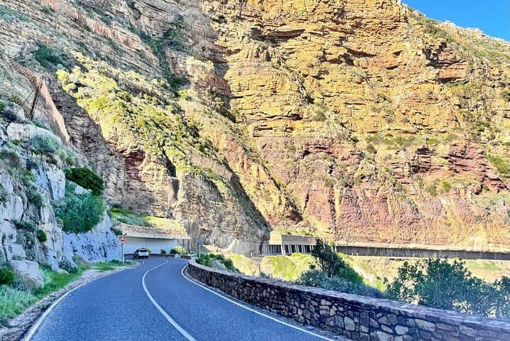 Cape Peninsula Day Tour: Bo-Kaap, Seal Island, Boulders Penguins & Cape Point photo 6