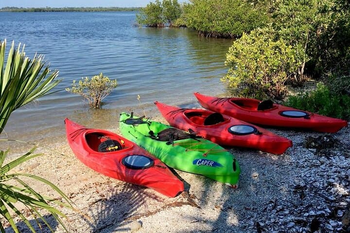Paddle the Indian River Lagoon: Guided Kayak Tour through Mangrove Tunnels