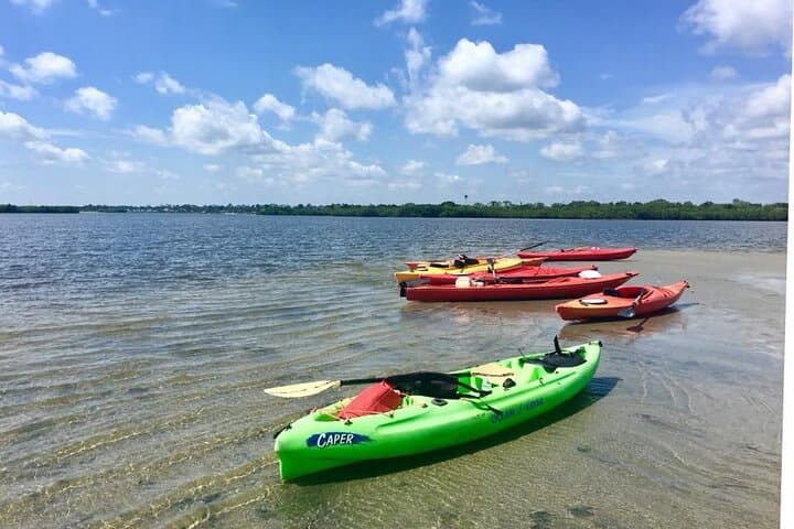 Paddle the Indian River Lagoon: Guided Kayak Tour through Mangrove Tunnels photo 6