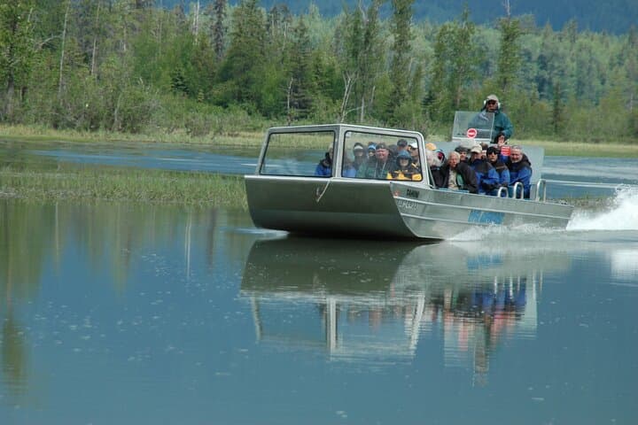Chilkat River Jet-Boat Adventure: Bald Eagles & Untamed Channels from Haines