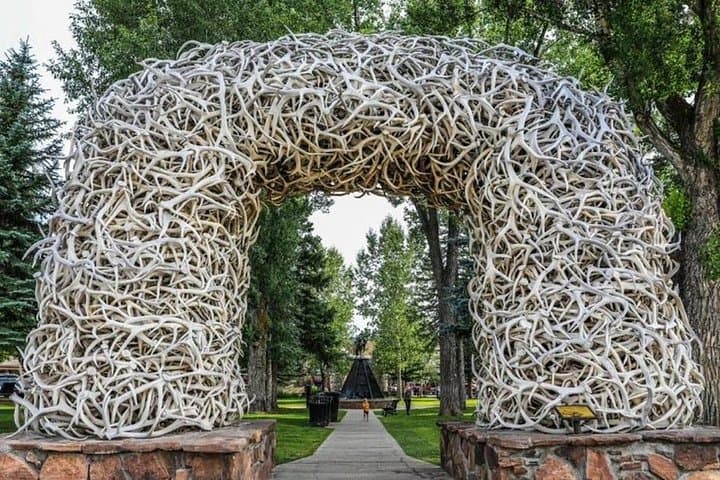 Bozeman to Yellowstone & Grand Teton: 3-Day Wildlife and Geothermal Tour photo 2
