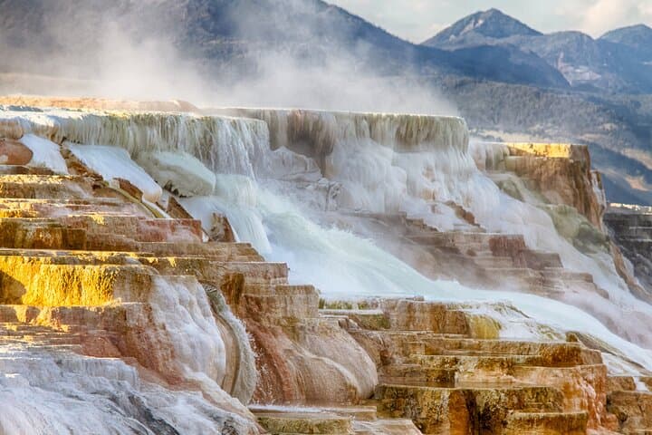 Yellowstone Upper Loop Full-Day Tour from Bozeman: Norris, Mammoth, Lamar & Canyon