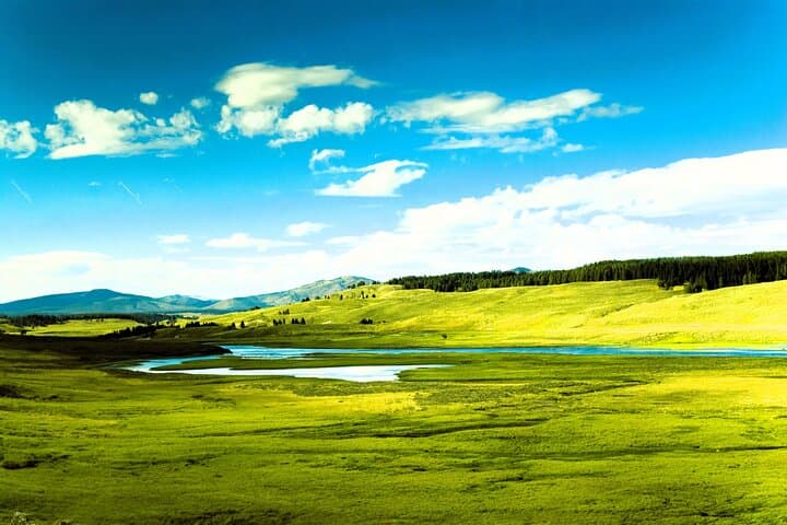 Yellowstone Upper Loop Full-Day Tour from Bozeman: Norris, Mammoth, Lamar & Canyon photo 4