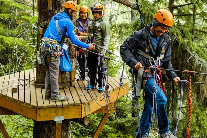 Skagway Zipline & Adventure Park: Klondike Highway Ropes Course Experience photo 5
