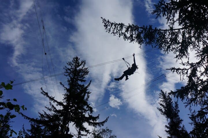 Skagway Zipline & Adventure Park: Klondike Highway Ropes Course Experience photo 6