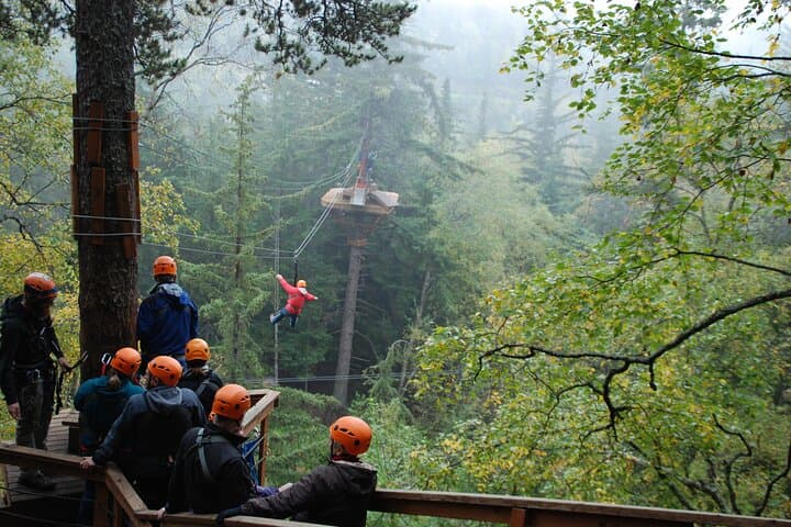 Skagway Zipline & Adventure Park: Klondike Highway Ropes Course Experience