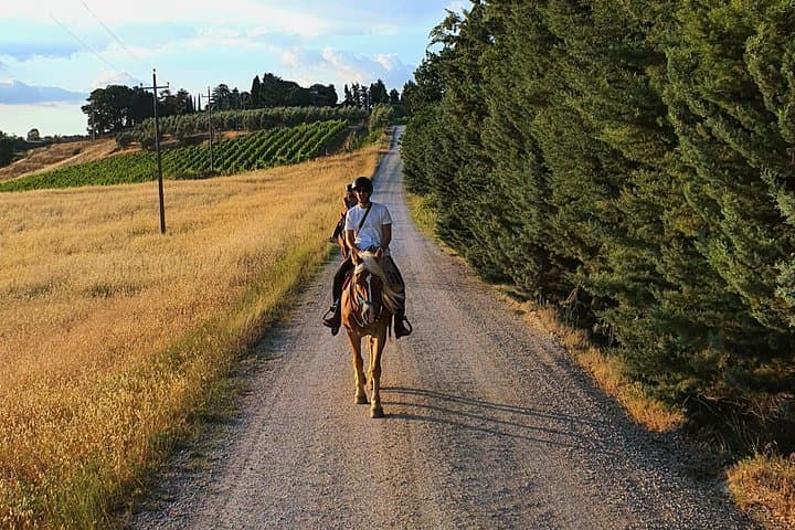 Ride the Sienese Hills: Horseback Adventure in the Tuscan Countryside photo 1