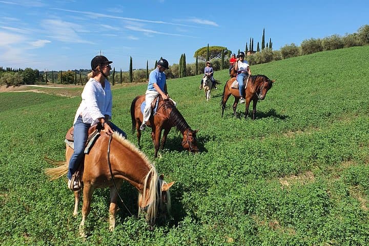 Ride the Sienese Hills: Horseback Adventure in the Tuscan Countryside photo 3